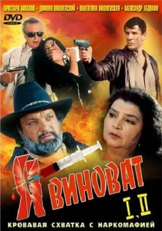 Постер Я виноват (1993)