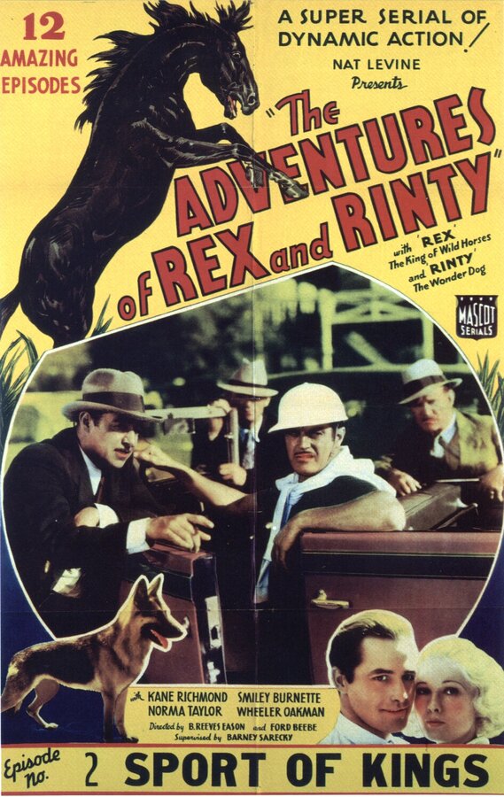 Постер фильма The Adventures of Rex and Rinty