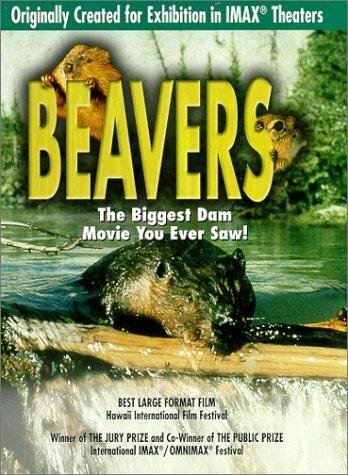 Постер фильма Beavers