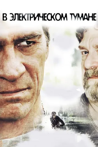 Постер В электрическом тумане (2009)