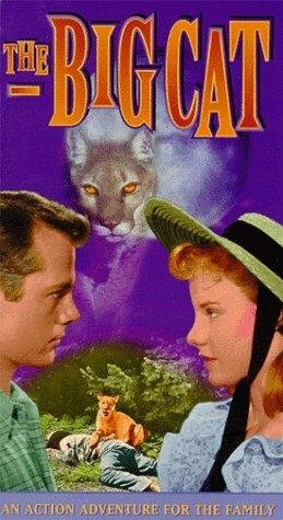 Постер The Big Cat (1949)