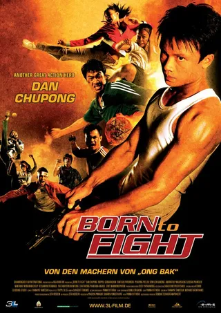 Постер Рожденный сражаться (2004)