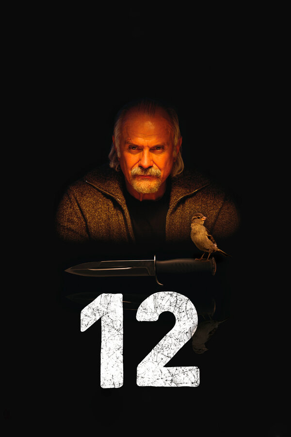 Постер фильма 12