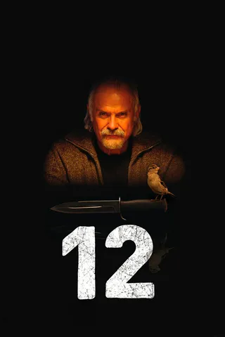 Постер 12 (2007)
