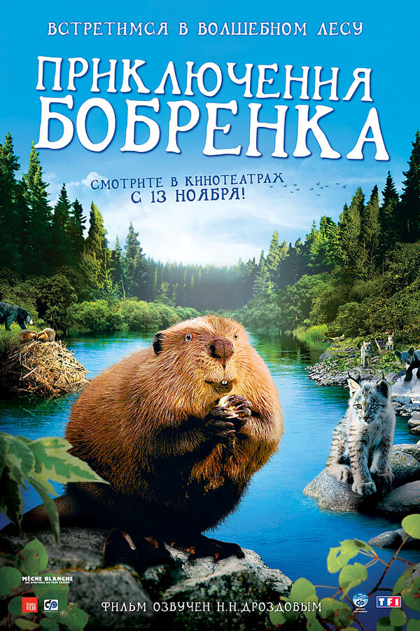 Постер фильма Приключения бобрёнка