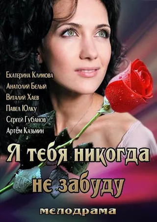 Постер Я тебя никогда не забуду (2013)