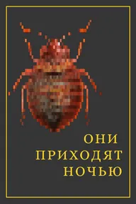 Они приходят ночью