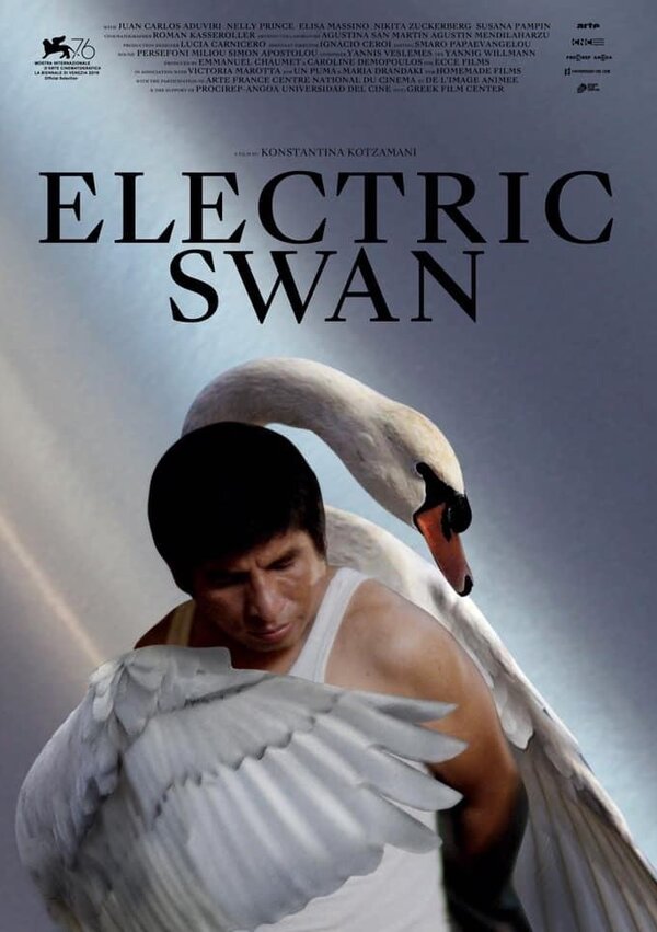 Постер фильма Electric Swan