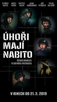 Úhori mají nabito