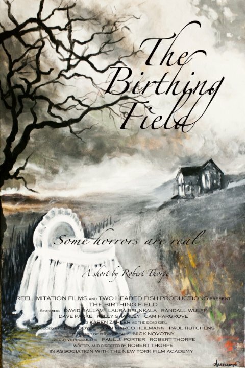 Постер фильма The Birthing Field