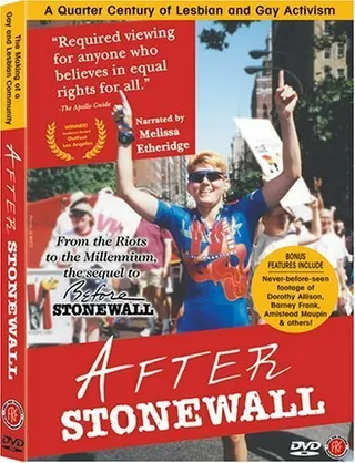 Постер After Stonewall (1999)