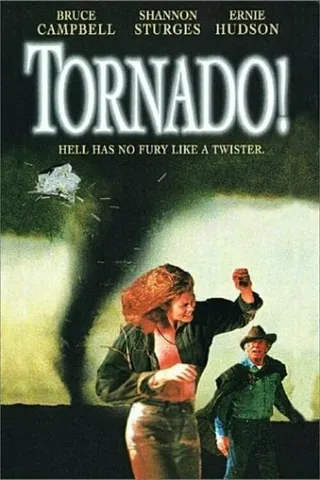 Постер Торнадо (1996)