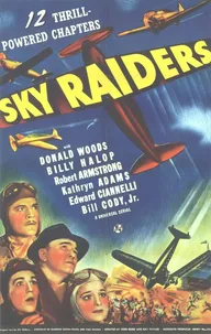 Sky Raiders