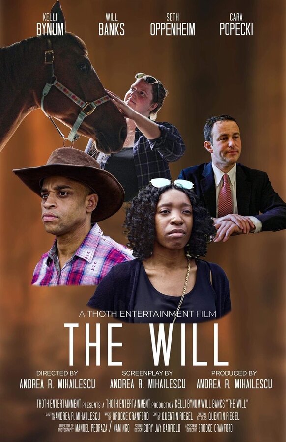 Постер фильма The Will