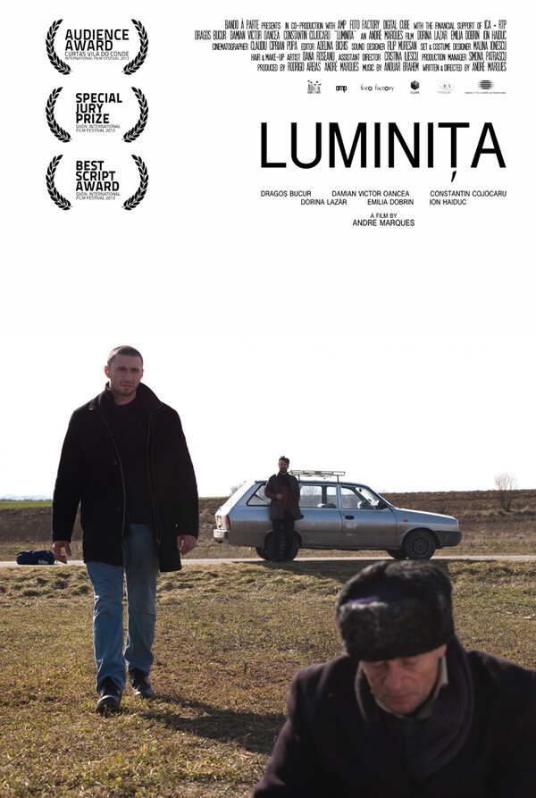 Постер фильма Луминита