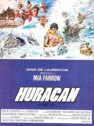 Постер Ураган (1979)