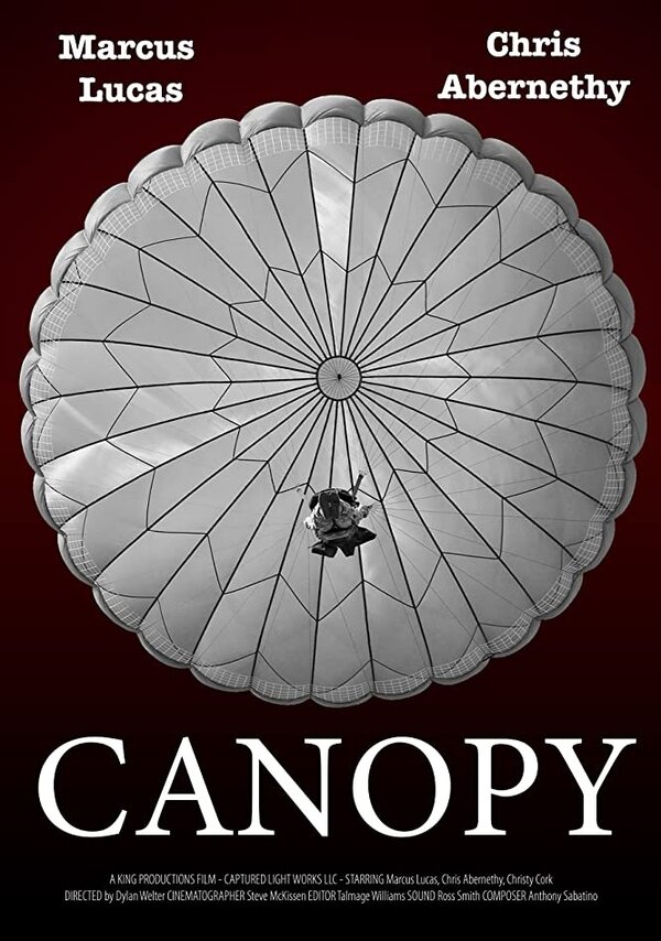 Постер фильма Canopy