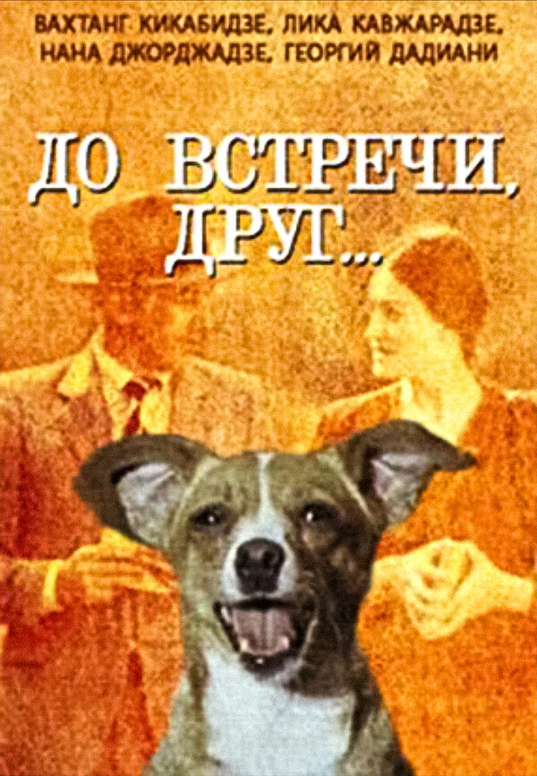 Постер фильма До встречи, друг...