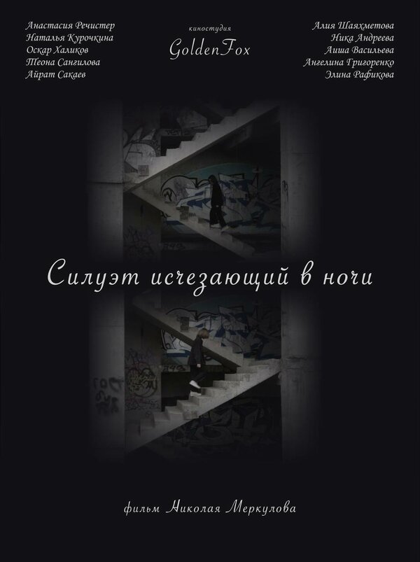 Постер фильма Силуэт, исчезающий в ночи