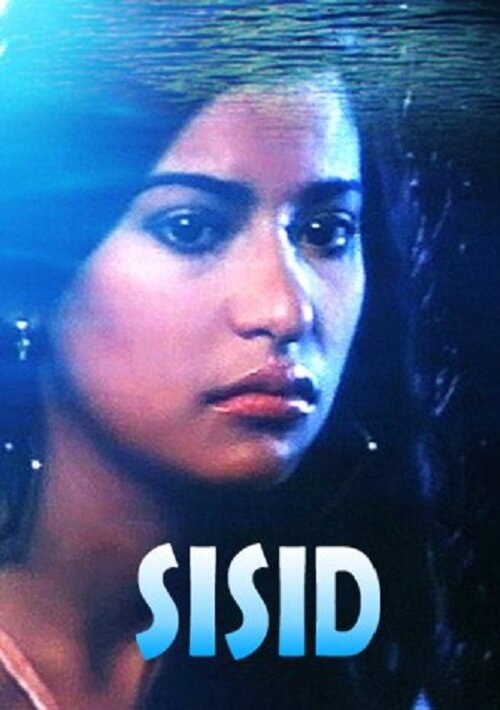 Постер фильма Sisid