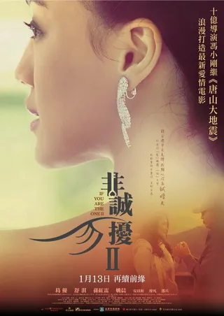 Постер Если ты единственная 2 (2010)