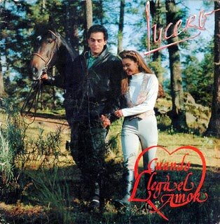 Постер Когда приходит любовь (1990)