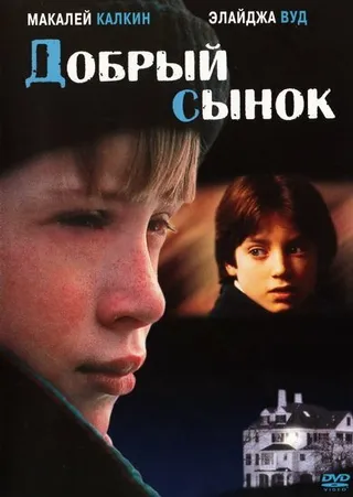 Постер Добрый сынок (1993)