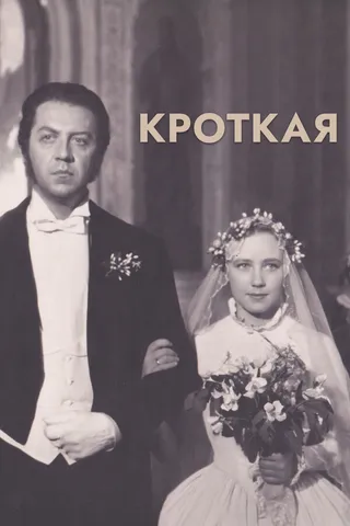 Постер Кроткая (1960)