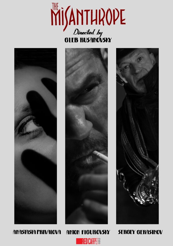 Постер сериала Мизантроп