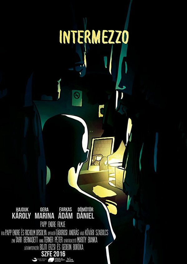Постер фильма Intermezzo