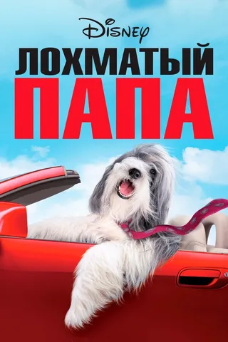 Постер Лохматый папа (2006)