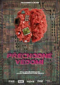 Prechodne Vedomi