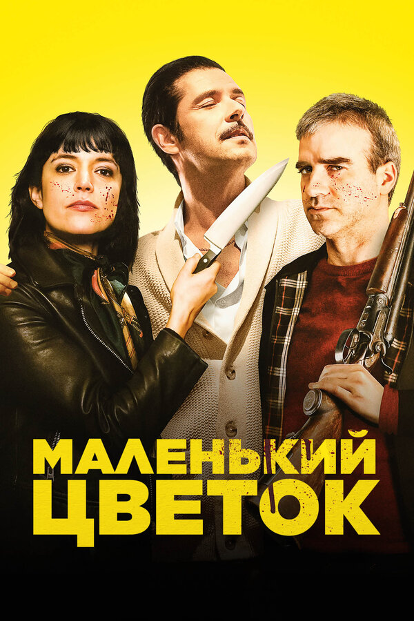 Постер фильма Маленький цветок