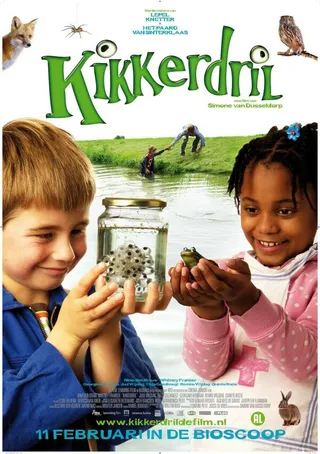 Постер Лягушки и черепахи (2009)