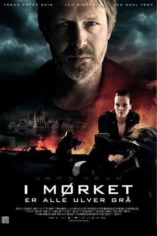 Постер Варг Веум: Ночью все волки серы (2011)