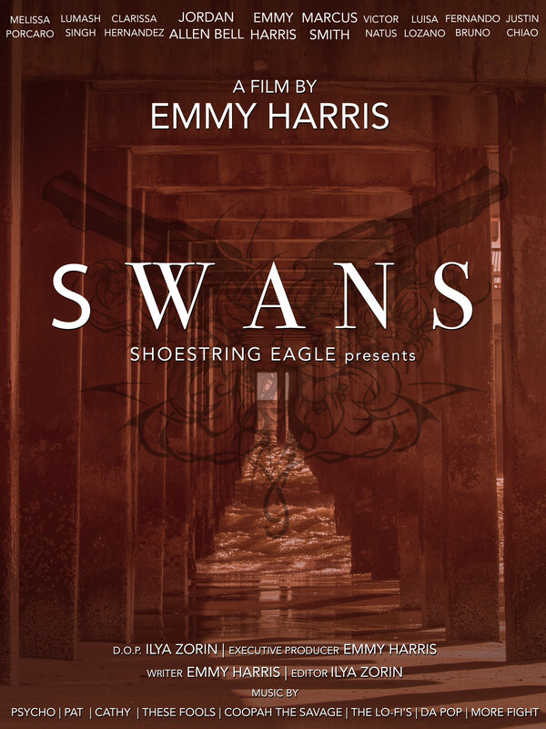 Постер фильма Swans