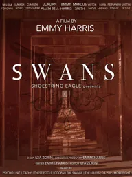 Swans