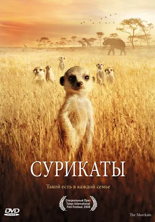 Постер Сурикаты (2007)