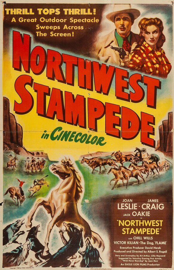 Постер фильма Northwest Stampede