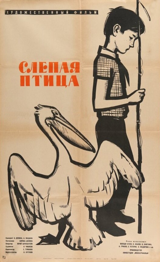 Постер фильма Слепая птица