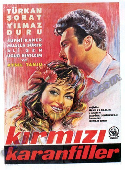 Постер фильма Kirmizi karanfiller
