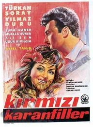 Kirmizi karanfiller