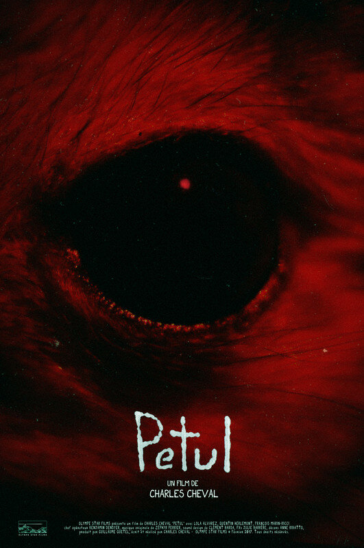 Постер фильма Petul