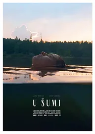 U sumi