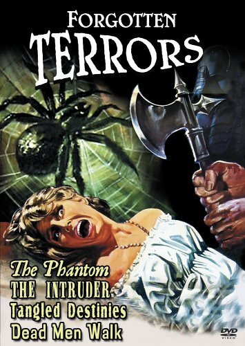Постер фильма The Intruder