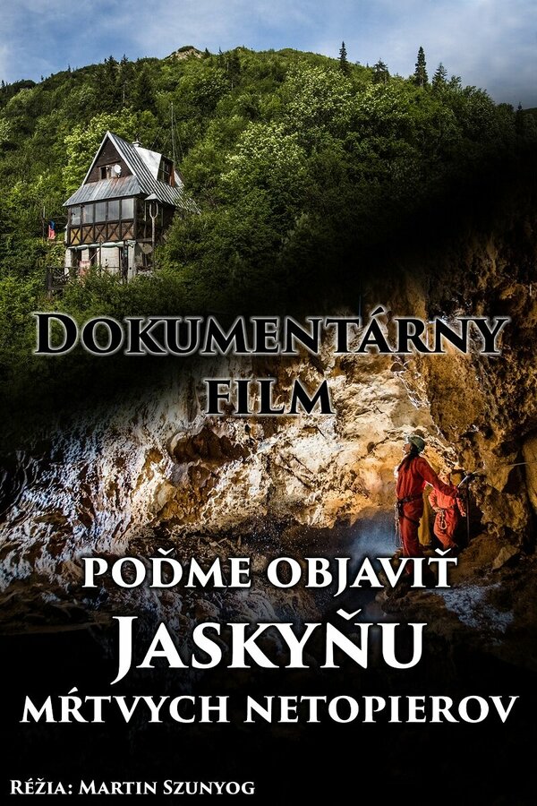 Постер фильма Jaskyna mrtvych netopierov