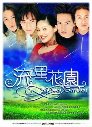 Постер Сад падающих звезд (2001)