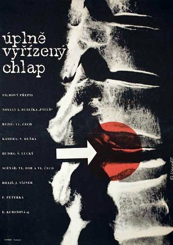 Постер фильма Úplne vyrízený chlap