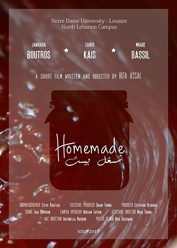 Постер фильма Homemade