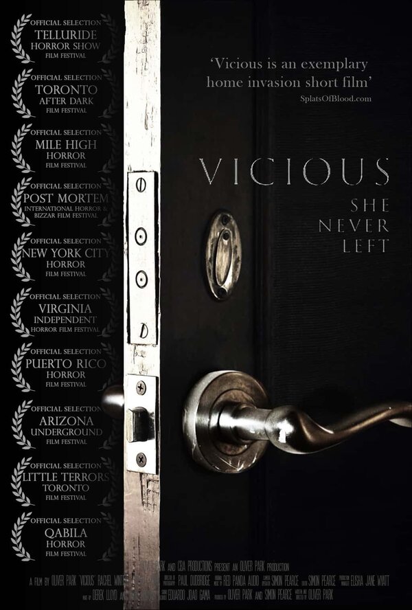 Постер фильма Vicious